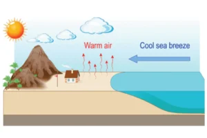 Diagram of a coastal scene showing the sun warming the land, causing warm air to rise from the shore, with an arrow indicating a cool sea breeze blowing from the ocean toward the land.