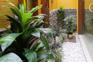 Indoor garden with large green leafy plants, stone wall backdrop, yellow textured walls, and a floor covered with white pebbles, featuring plants in pots and a wooden platform.