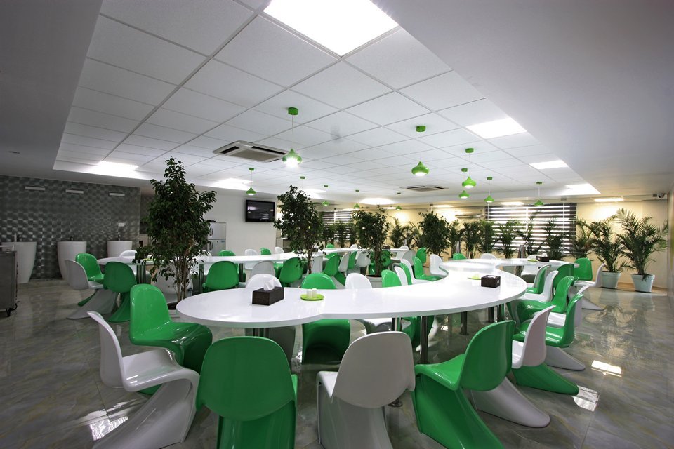 The open layout and varied seating encourage teamwork and comfort, while plentiful greenery boosts mood and air quality. Bright ceiling lights ensure a lively, well-lit space.
