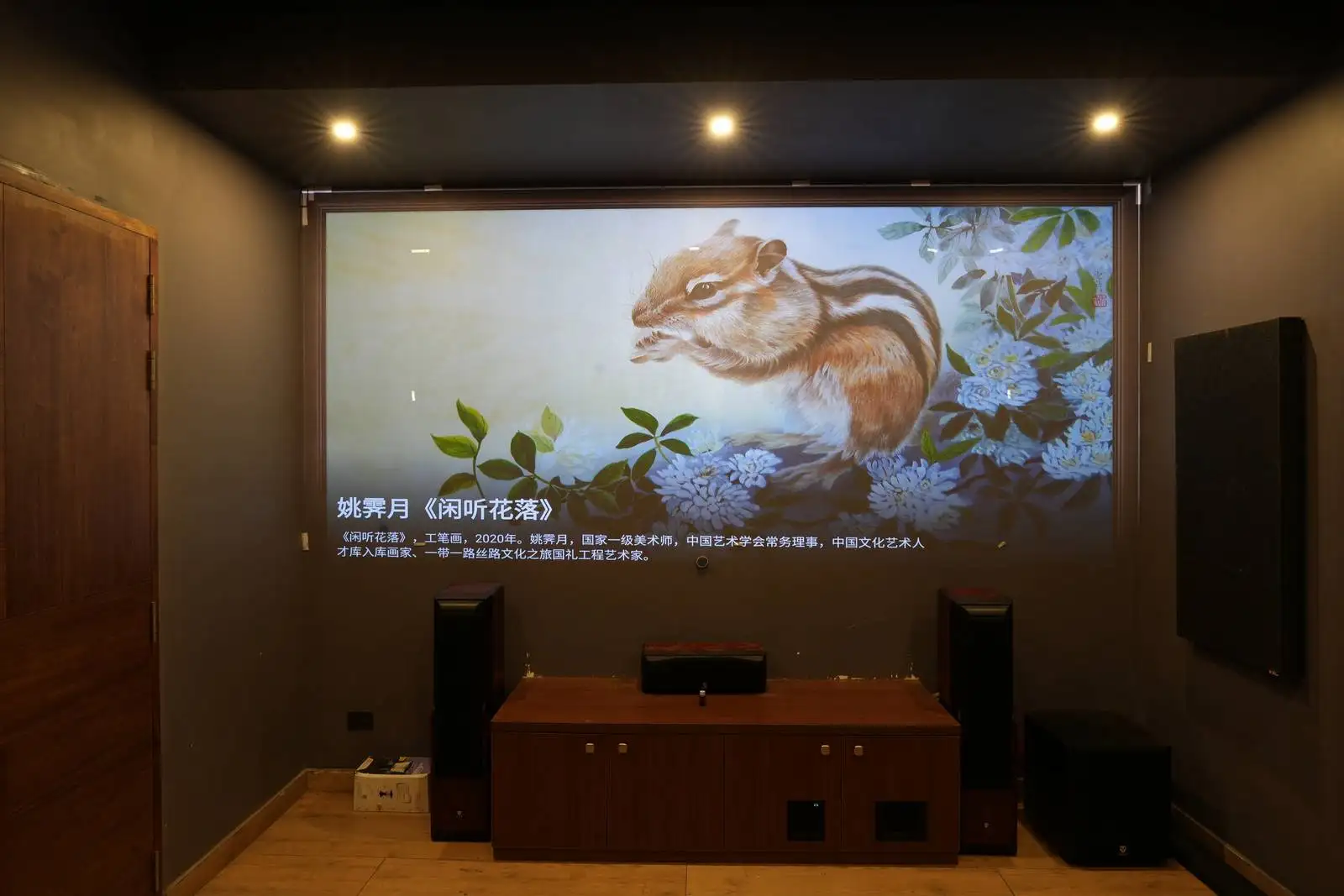 This space is designed as a dedicated home theater. The overall style is modern and functional, focusing on audiovisual experience and comfort.