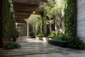 Modern indoor corridor with stone flooring and wooden ceiling beams, featuring large potted plants and green vines climbing up the walls, illuminated by natural sunlight filtering through overhead openings.