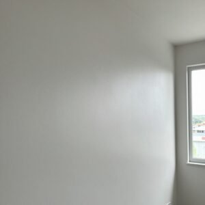 How to Stop Cracks in Your Home: Professional Guidance from Architect Dameem Ansari 5 Interior view of a plain light gray wall with two faint vertical cracks, next to a window showing a partial outdoor scene with buildings and trees under a cloudy sky.