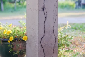 How to Stop Cracks in Your Home: Professional Guidance from Architect Dameem Ansari 1 A close-up of a concrete pillar with visible cracks surrounded by pots of yellow flowers and greenery in an outdoor setting.